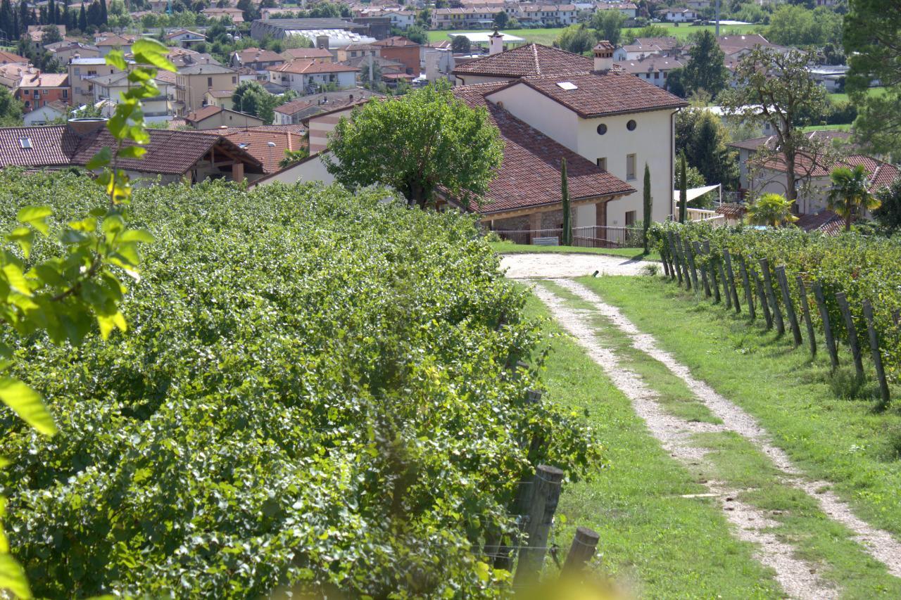 La Costa Fattoria Sociale Villa Sarcedo Buitenkant foto